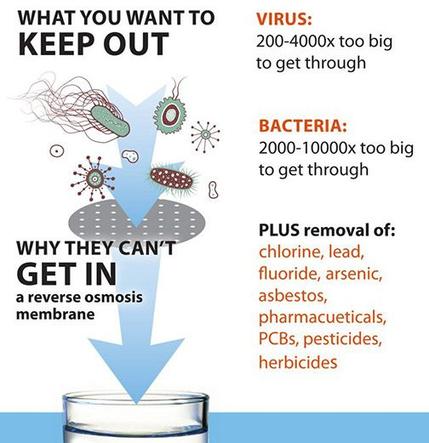 water filtration explainer graphic